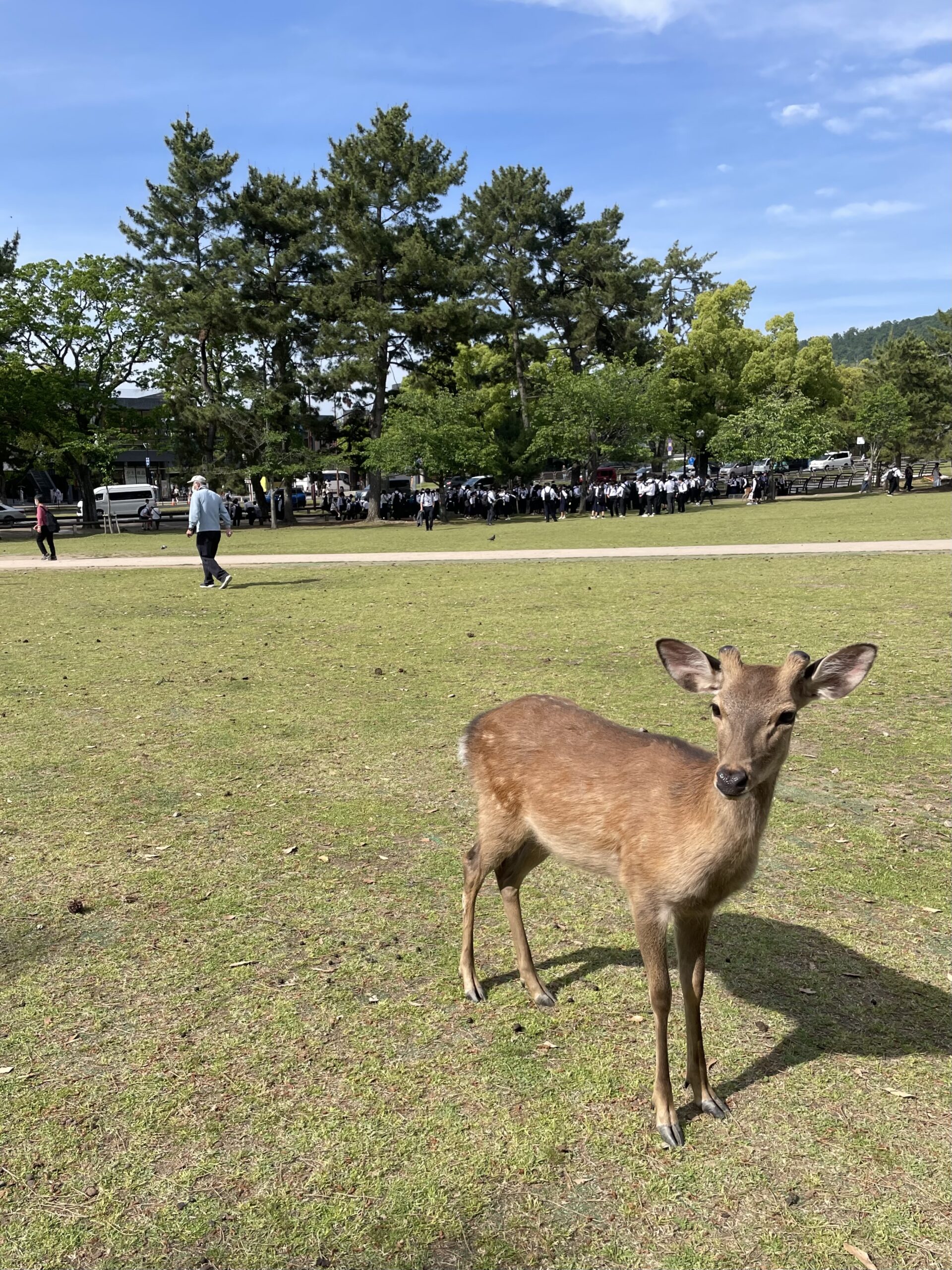 奈良