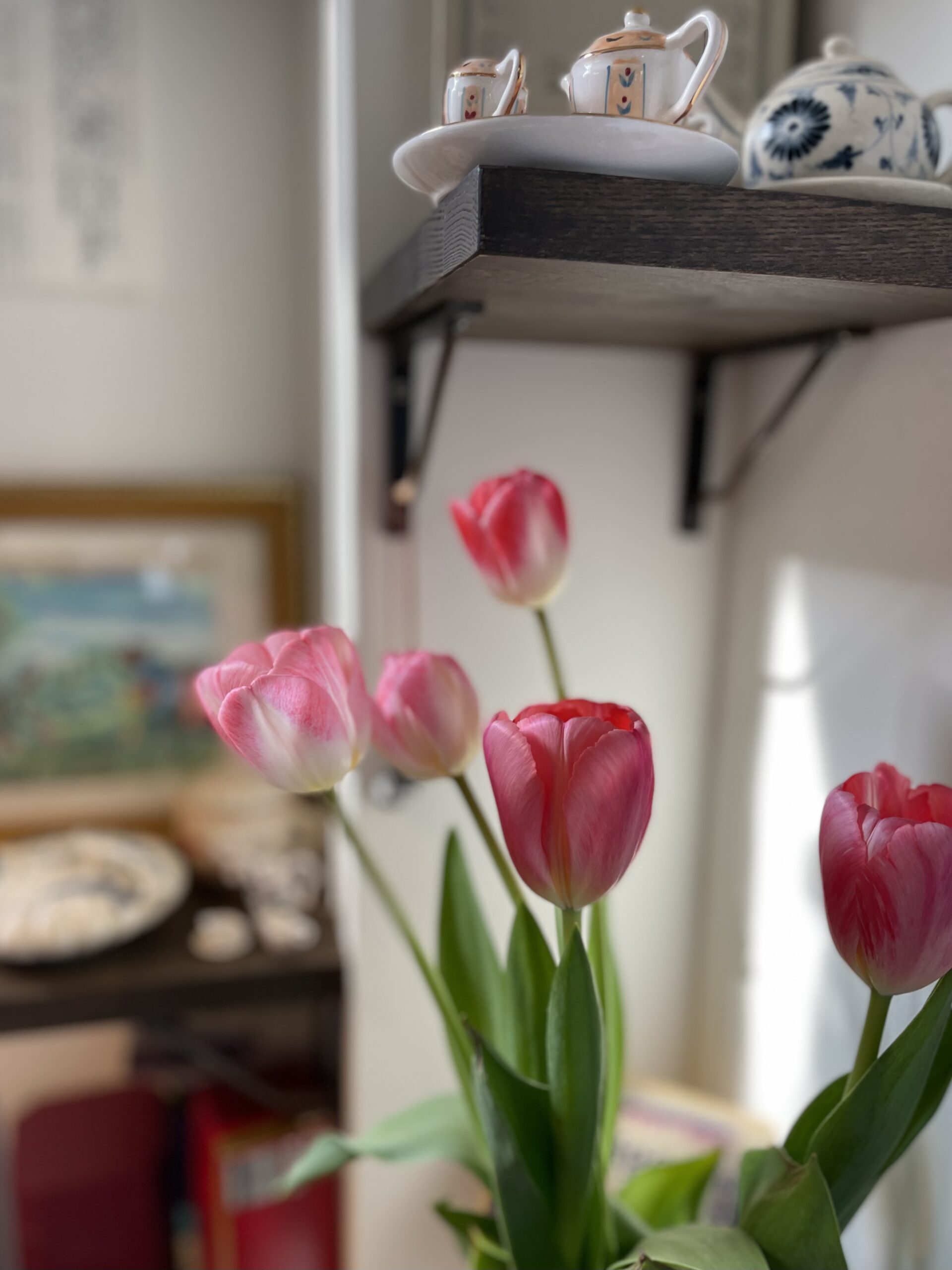 芦屋